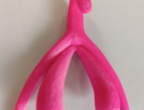 Maquette du clitoris