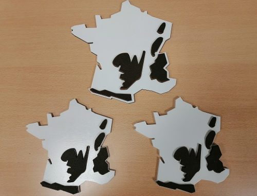 Cartes de France : les montagnes